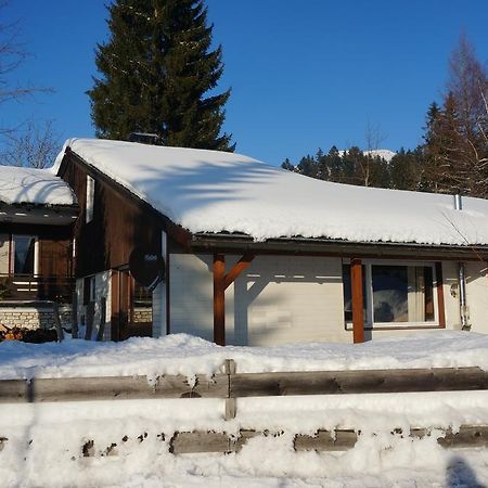 Willa Haus Sonnenalm Bad Mitterndorf Zewnętrze zdjęcie