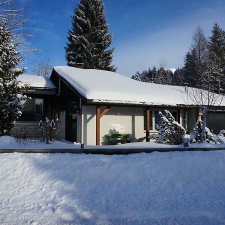 Willa Haus Sonnenalm Bad Mitterndorf Zewnętrze zdjęcie