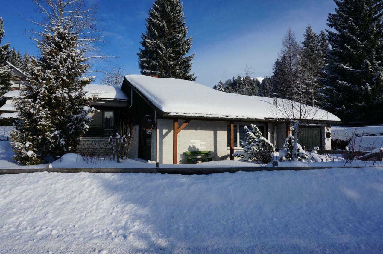 Willa Haus Sonnenalm Bad Mitterndorf Zewnętrze zdjęcie